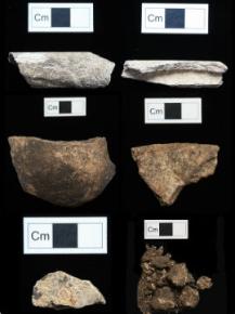 Selection of bone fragments from Cnoc Coig